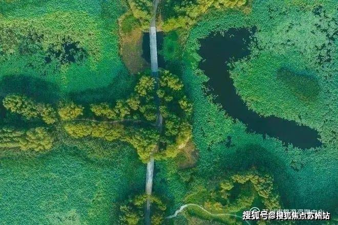 测-鹿溪雅园售楼中心详情户型 小区配套鹿溪雅园售楼处欢迎您 2025楼盘评(图5)