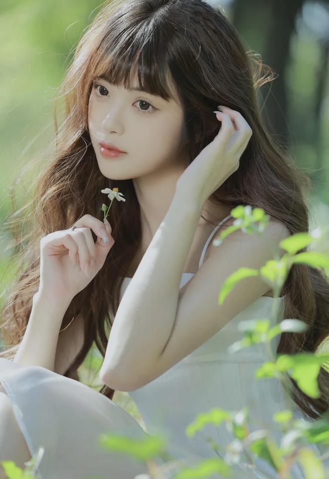 IOS安卓手机APP安装3d肉博团（中国